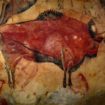 Animaux Découverte de nouvelles gravures d’animaux datant du Paléolithique dans trois grottes espagnoles