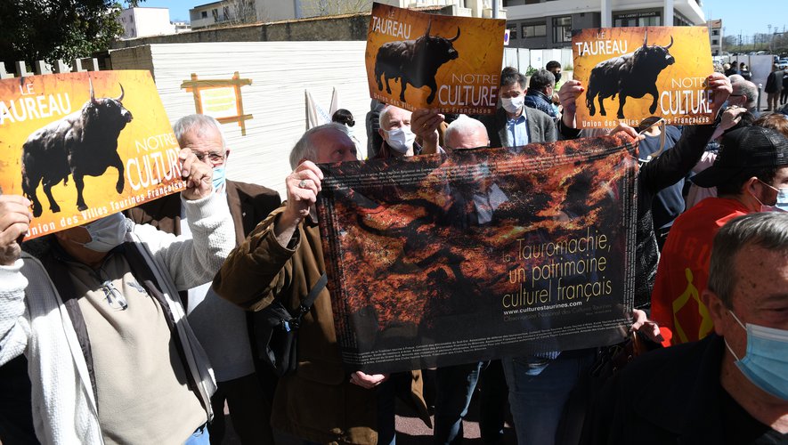 Animaux Corrida : une cagnotte pour soutenir une école taurine provoque un tollé chez les défenseurs des animaux