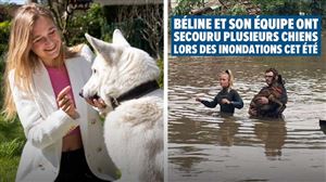 Animaux Béline, 21 ans, a déjà fait adopter 300 animaux grâce à son affiliation: « Mon nonetheless est de sauver des vies »