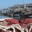 Bureau La lutte contre la pêche informelle et illicite, une des priorités de la FPM