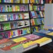 Livres Vente des manuels scolaires par les écoles privées :les libraires appellent à la rescousse