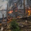 Maillot de bain Tsjechië stuurt nog meer brandweerlieden naar natuurpark, waar een van zwaarste branden ooit woedt