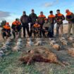 Bebe « Nous avons vidé la réserve de vermine » : la photograph controversée de chasseurs qui posent devant les cadavres de 20 renards et de sangliers – ladepeche.fr