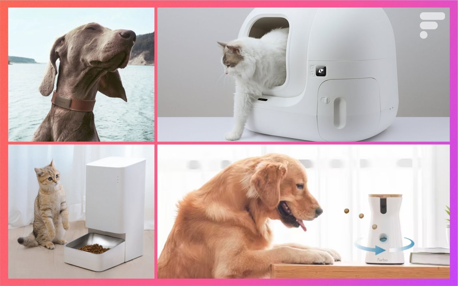 Animaux Distributeur de croquettes, litière connectée, GPS pour chat et chien : les meilleurs accessoires pour nos animaux de compagnie