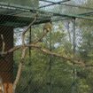 Jardin Var: la sécurité renforcée au zoo de la Londe-les-Maures après le vol de 14 singes