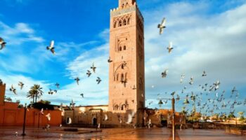Chaussures de sport Marrakech : Les professionnels de l’agroalimentaire en conclave